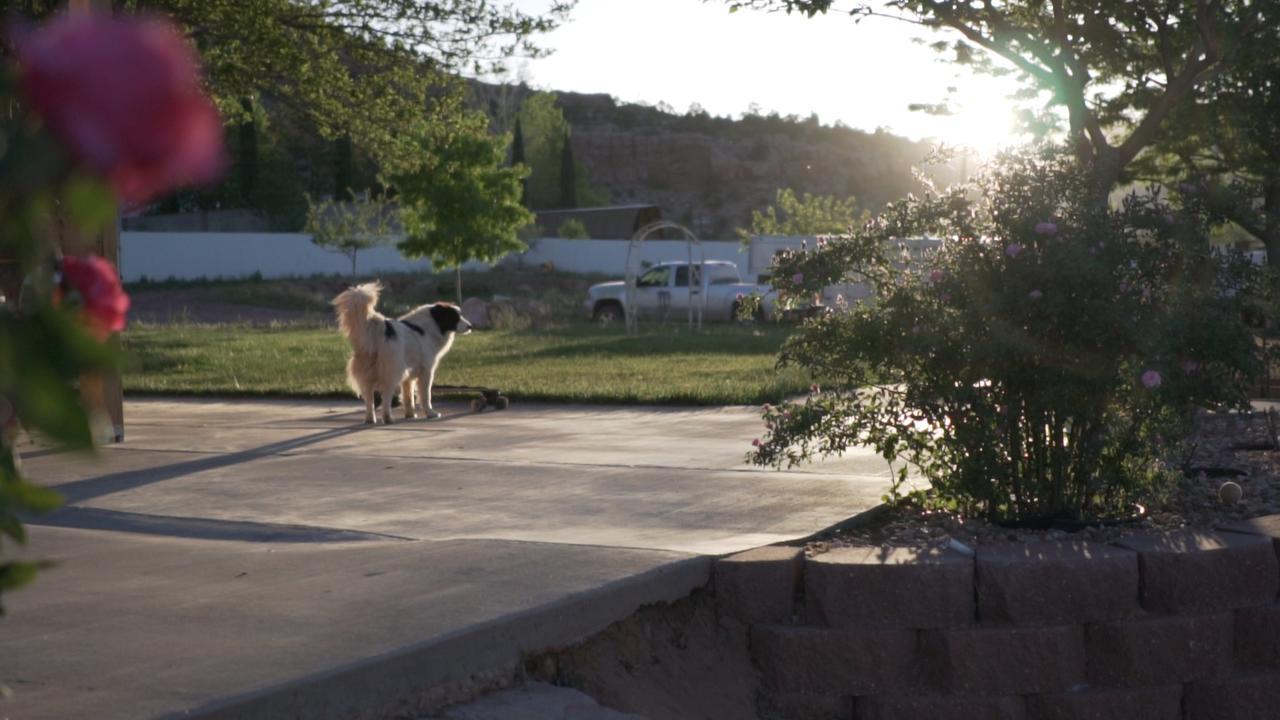 Zion'S Blue Sage Bed & Breakfast Hildale Exterior foto